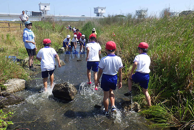 Estuary weir at Ongagawa River, and Ongagawa River Fishway Park